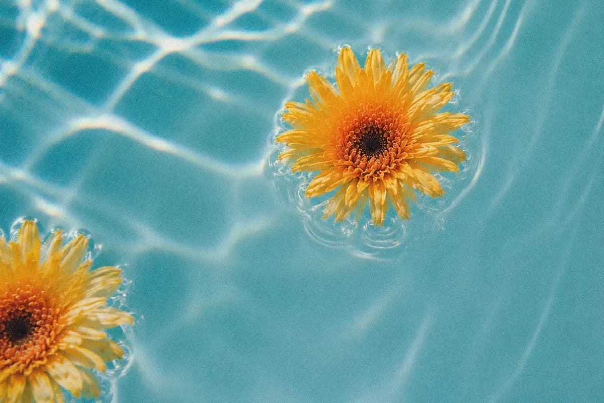 summer_mood_1x.webp